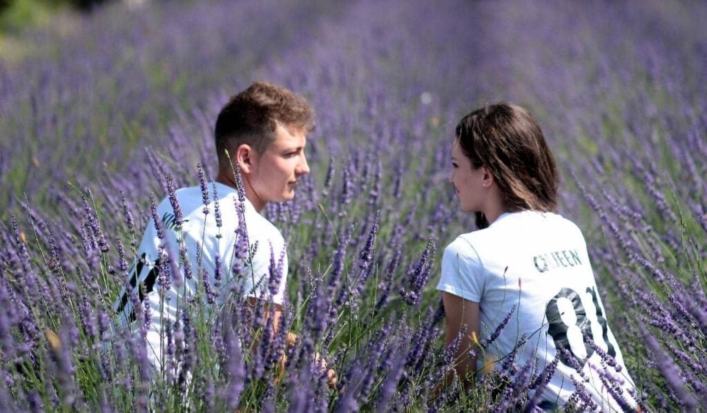 couple-lavender-field